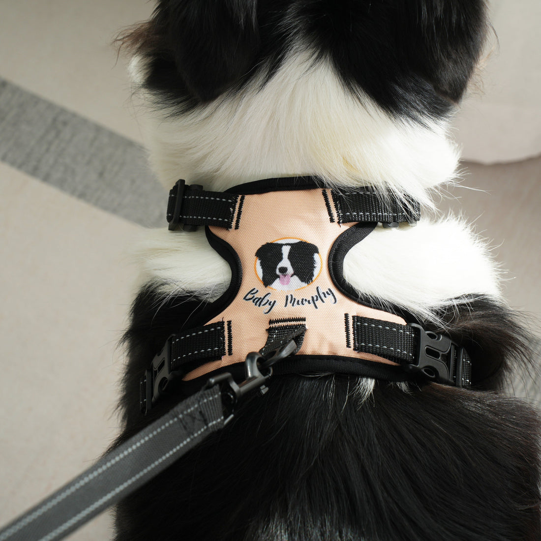 Dog Harness